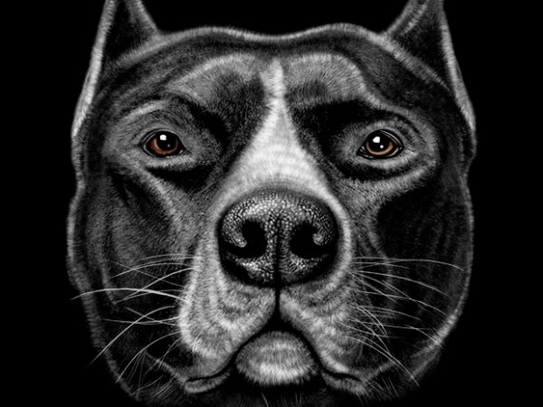 Pitbull head t-shirt design for sale