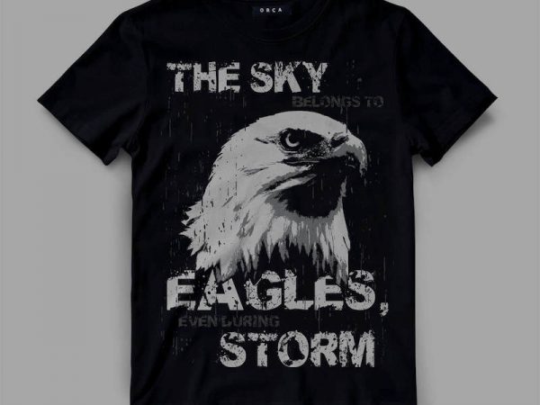 Eagle sky storm commercial use t-shirt design