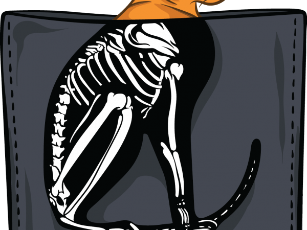 Cat skeleton pocket print ready vector t shirt design