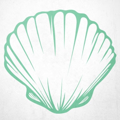 Seashells bra design for t shirt Seashells bra design for t shirt