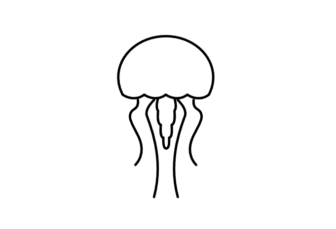 Cute Little Jellyfish Tattoo Vector T Shirt Design Buy T Shirt Designs