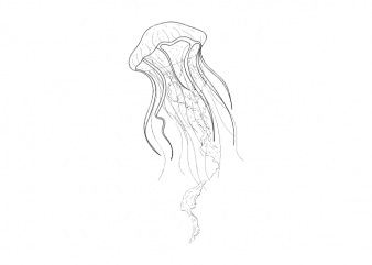 Jellyfish Sea life minimal tattoo vector t shirt printing design