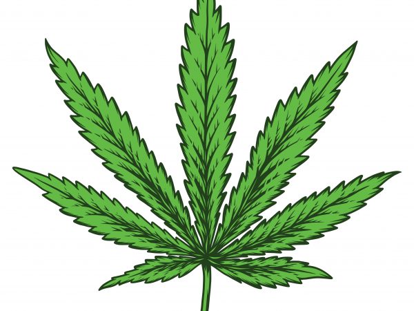 Cannabis leaf. vector t-shirt design