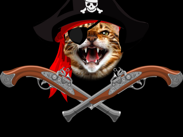 Pirate png – pirate cat t shirt design for sale