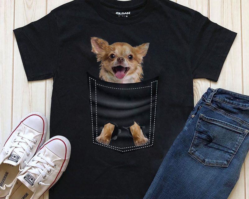 dog in a pocket t shirt