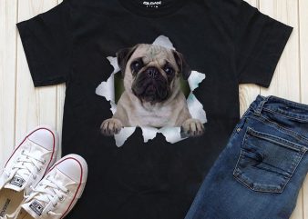 Dog In T-shirt- 20 Popular Dog Breeds