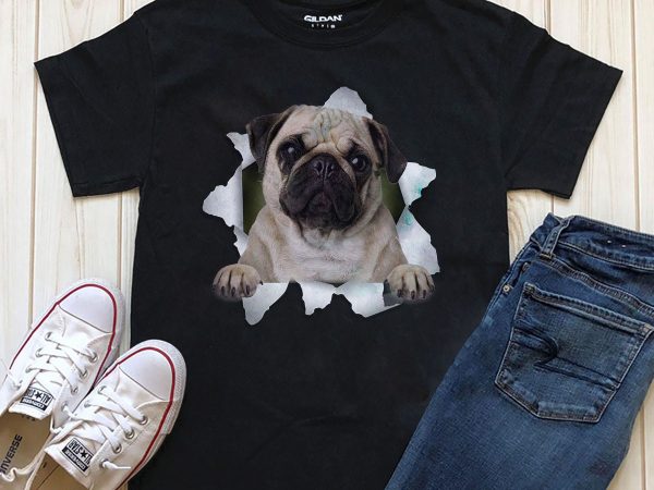 Dog In T-shirt- 20 Popular Dog Breeds Dog In T-shirt- 20 Popular Dog Breeds