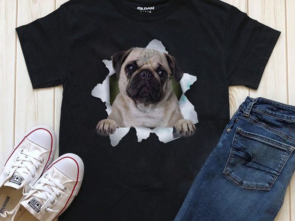 Dog in t-shirt- 20 popular dog breeds