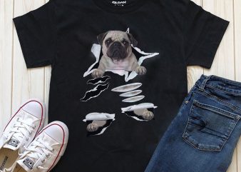 Dog In Tshirt- 20 Popular Dog Breeds
