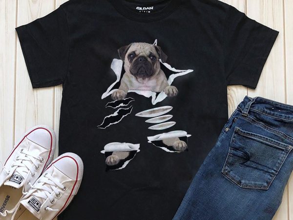 Dog in tshirt- 20 popular dog breeds