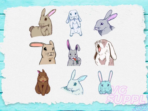 Rabbit design bundle