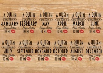 Birthday queen t-shirt bundle 12 month