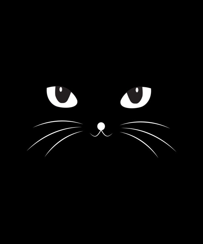 Black CAT graphic t-shirt design for sale