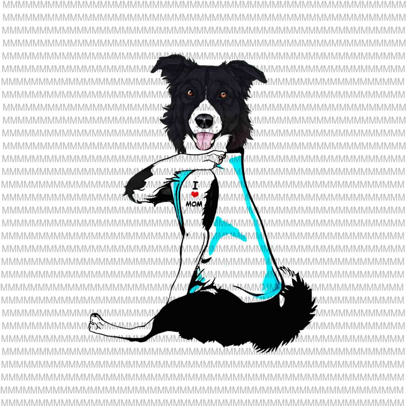 Azeeda 4 x Border Collie Temporary Tattoos TO00049683  Amazoncouk  Toys  Games
