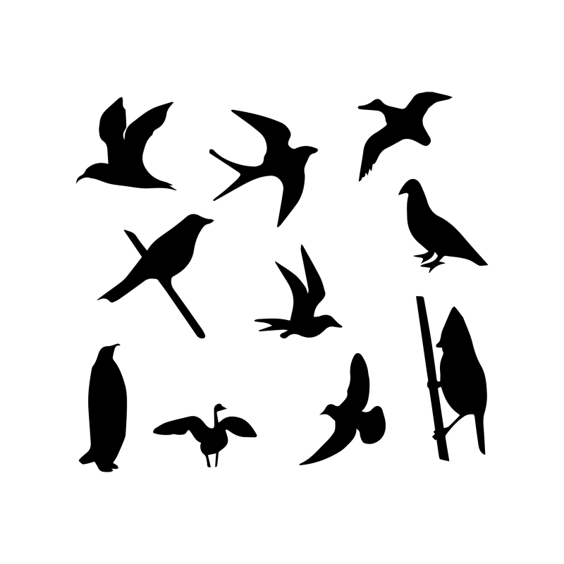 Download Bird svg,Bird png,Bird cut file,Bird vector,Bird design ...