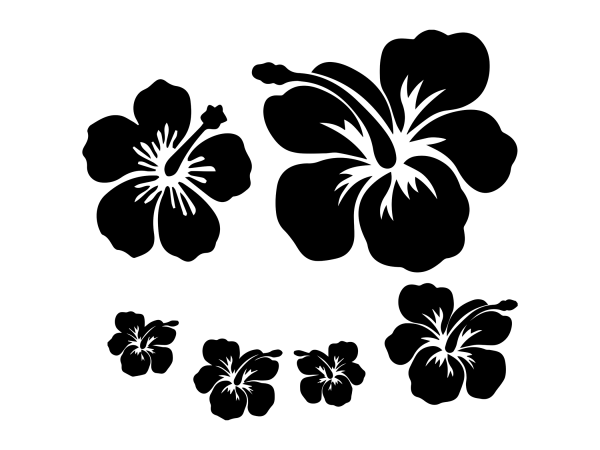 Flower svg,flower vector,flower png,flower cut file,flower svg file,flower png file graphic t-shirt design