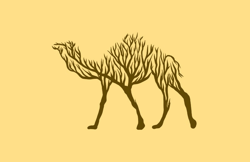 Camel animal silhouette from Tree vector t shirt design for sale
