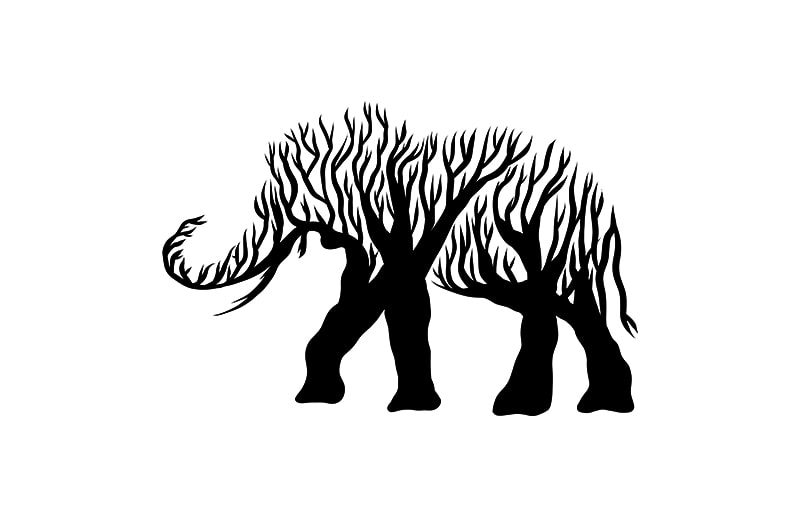 elephant animal silhouette from Tree vector t shirt design for sale