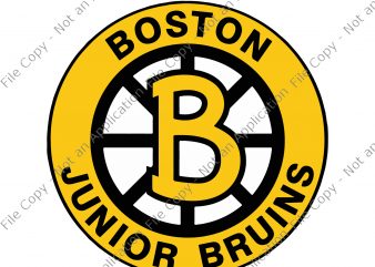 Boston Bruins, Boston Bruins svg, Bruins svg,Boston Bruins png,Boston Bruins design,Boston Bruins vector,Boston Bruins cut file, boston bruin logo svg, boston svg buy t shirt