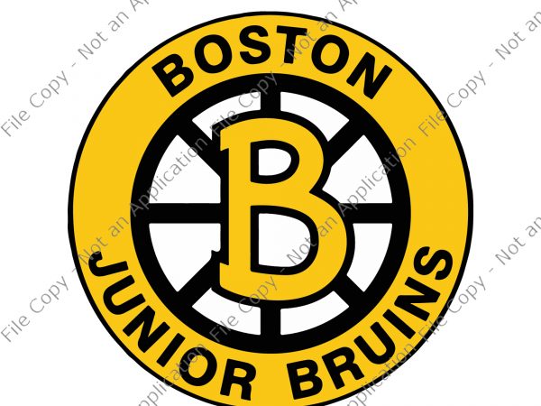 Boston bruins, boston bruins svg, bruins svg,boston bruins png,boston bruins design,boston bruins vector,boston bruins cut file, boston bruin logo svg, boston svg buy t shirt