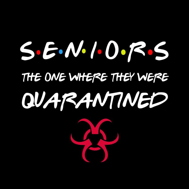 Senior 2020 svg, senior the one where they were quarantined 2020 svg, Seniors The One Where They Were Quarantined 2020, seniors 2020, class of 2020