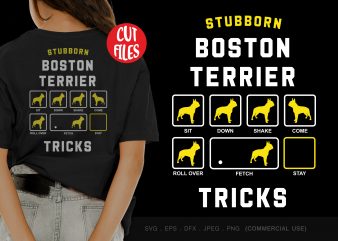 Stubborn boston terrier tricks print ready t shirt design