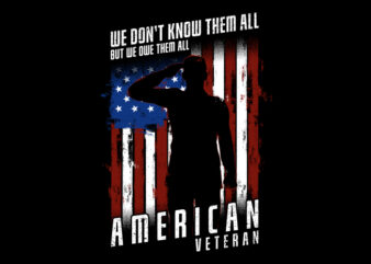 We Don’t Know Them All – American Veteran shirt design png buy t shirt design artwork