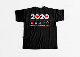 2020 has been hell- 2020 Review t shirt – Stupid Year – 2020 Sucks – 2020 Trending T shirt design