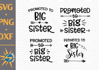 Promoted to Big Sister SVG, PNG, DXF Digital Files t shirt illustration