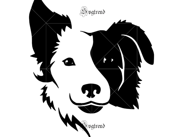 Collie dog images, collie dog logo, collie dog vector, dog svg, border collie svg, collie svg, border collie vector, pet quote svg, funny dog mug svg, collie vector, make my