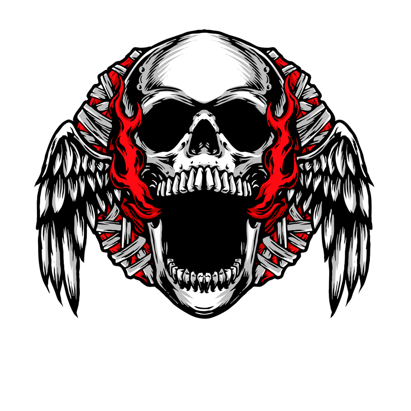 flying skull