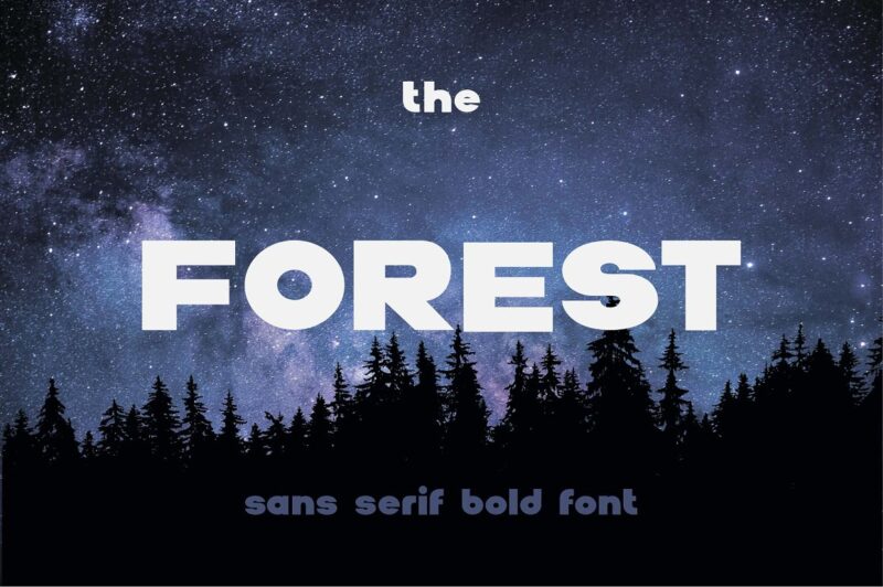 12 Font Families Bundle