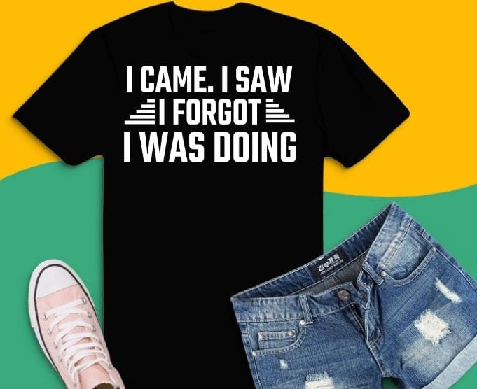 I came. i saw i forget i was doing funny humor svg, Sarcastic T-shirt design svg, humor funny saying, typography humor, sarcasm,funny,