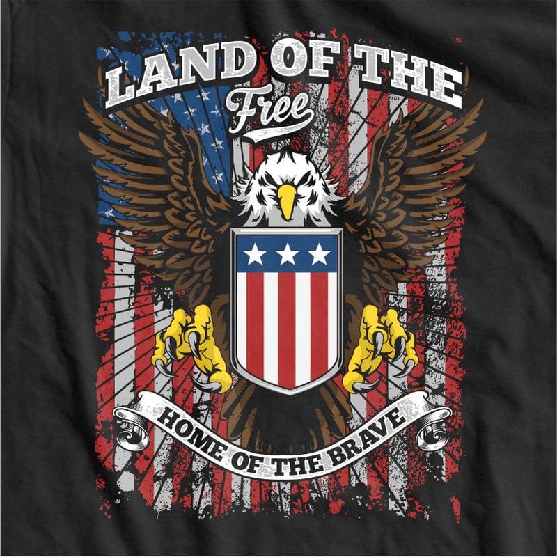Land of the free home of the brave 2