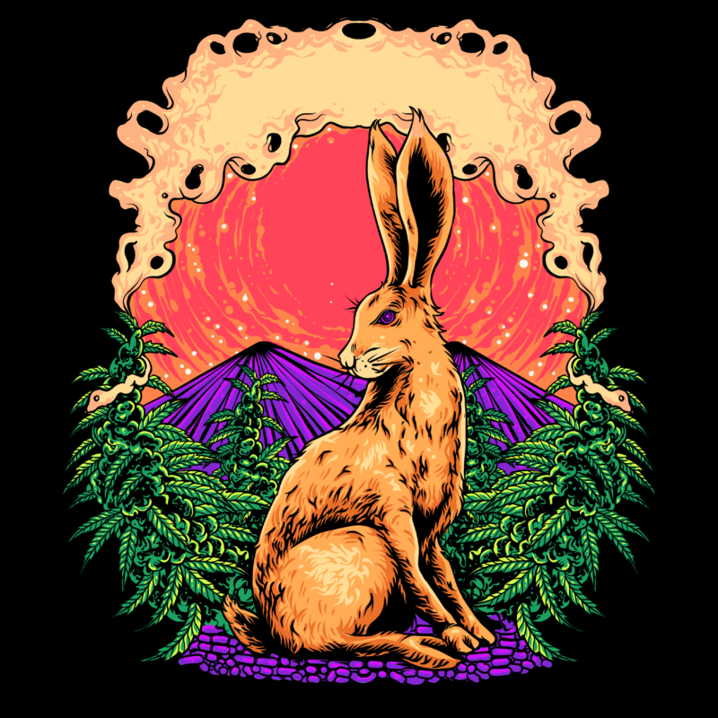 Holly rabbit