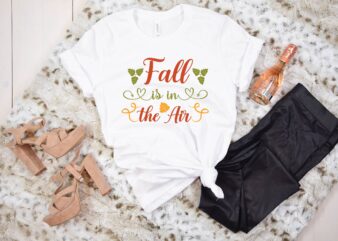 Fall is in the Air svg t shirt