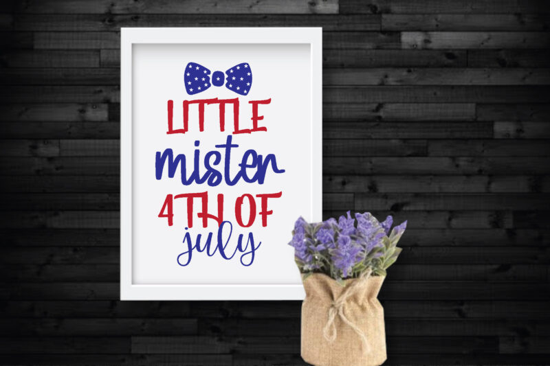 4th of July svg bundle t shirt illustration