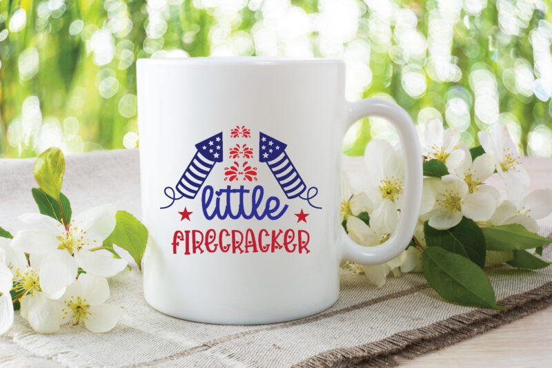 4th of July svg bundle t shirt illustration