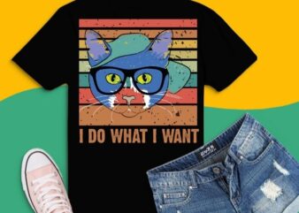 I do what i want funny cat vintage retro sunst T-Shirt design svg