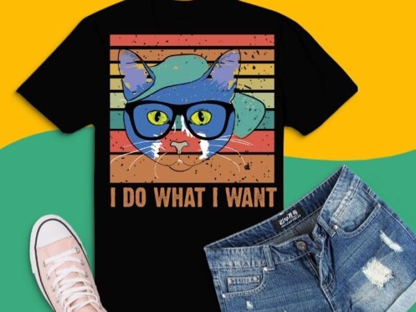 I do what i want funny cat vintage retro sunst t-shirt design svg