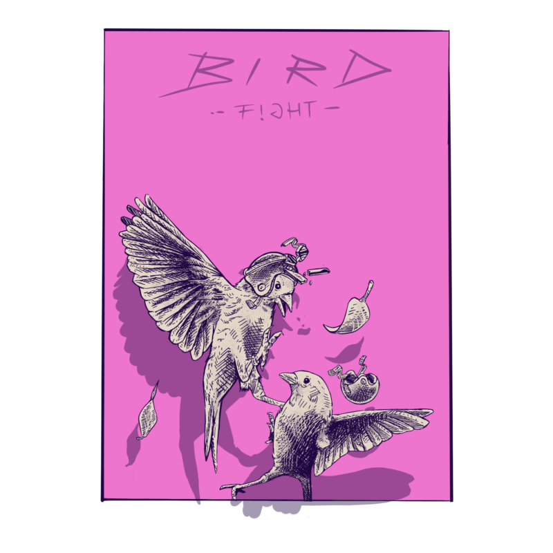 animal t-shirt design “bird fight”