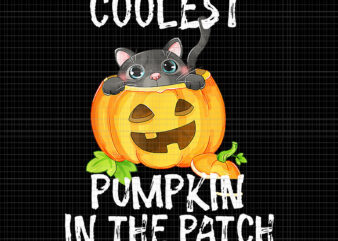 Coolest Pumpkin In The Patch Halloween Png, Coolest Pumpkin Cat, Cat Halloween Png, Cat Png, Pumpkin Png, Halloween Png t shirt vector file