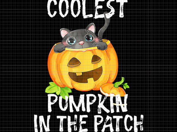 Coolest pumpkin in the patch halloween png, coolest pumpkin cat, cat halloween png, cat png, pumpkin png, halloween png t shirt vector file