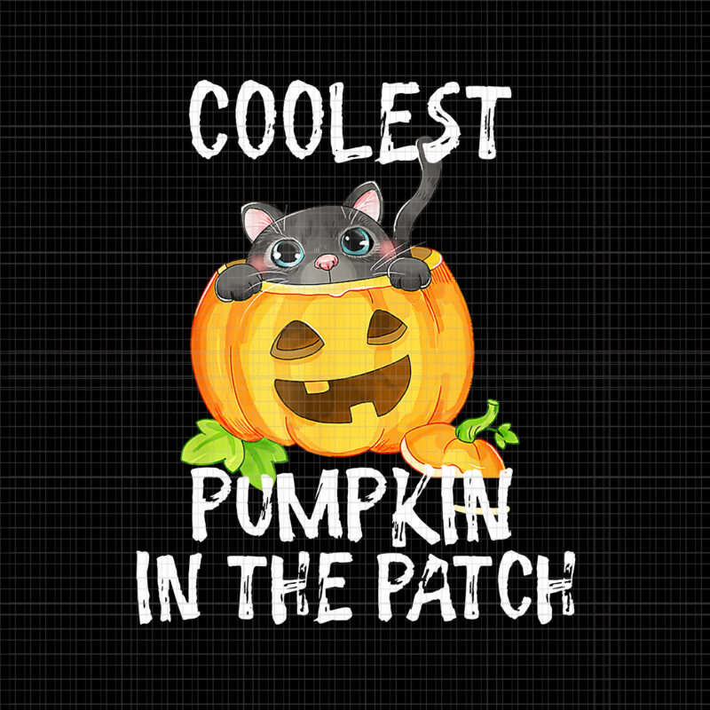 Coolest Pumpkin In The Patch Halloween Png, Coolest Pumpkin Cat, Cat Halloween Png, Cat Png, Pumpkin Png, Halloween Png