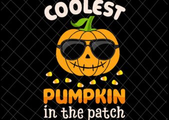 Coolest Pumpkin In The Patch Svg, Halloween Pumpkin Svg, Pumpkin Sunglasses Svg t shirt vector file