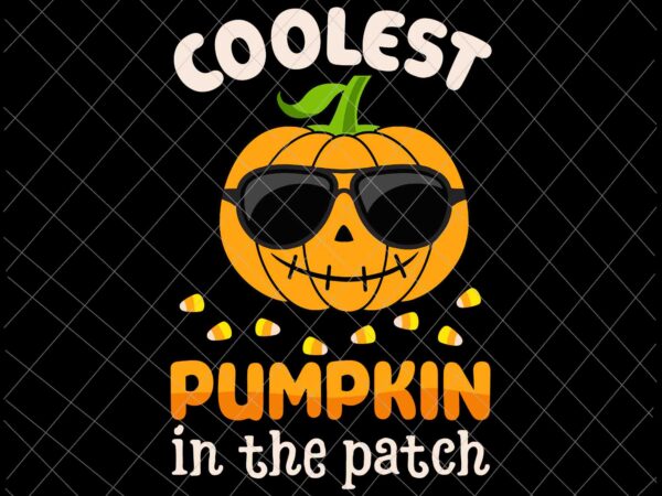 Coolest pumpkin in the patch svg, halloween pumpkin svg, pumpkin sunglasses svg t shirt vector file
