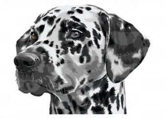 Dalmatian t shirt vector illustration