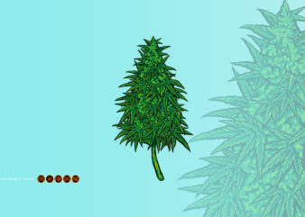 Weed Cannabidiol Leaf Plant Illustrations