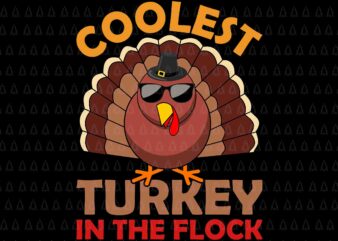 Coolest Turkey In The Flock Svg, Happy Thanksgiving Svg, Turkey Svg, Thanksgiving Svg, Thanksgiving Turkey Svg
