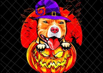 Pitbull Witch Pumpkin Halloween Png, Love Dog Halloween Png, Pitbull Halloween Png, Dog Witch Png